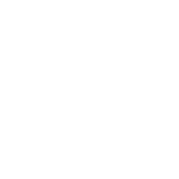 1234